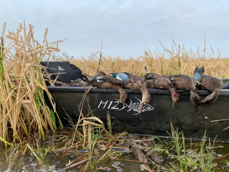 Ascend H12 kayak in a flooded millet field after a successful teal hunt