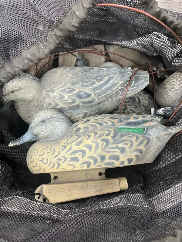 Early season teal decoys setting at the top of a mesh decoy bag.