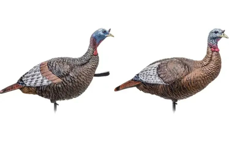 Flextone Jake and Hen Turkey Decoy Combo