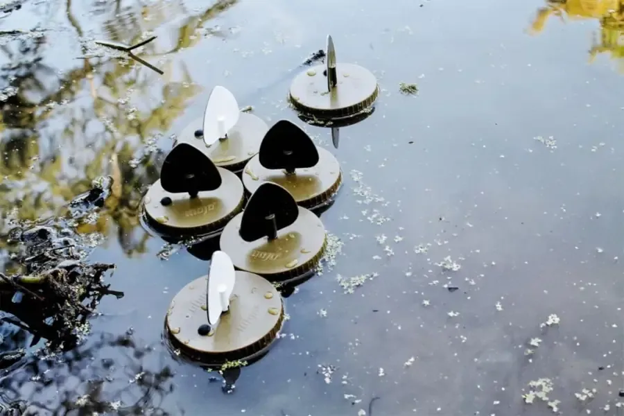A six pack of the original flock a flicker floating in a marsh