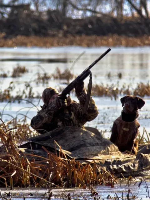 Duck decoy spread set up for a public land waterfowl hunt.