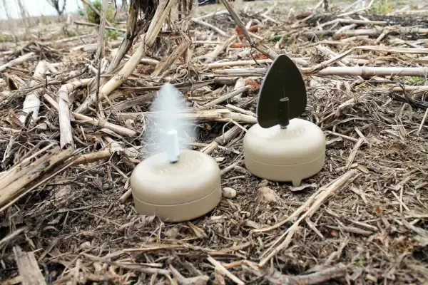 Mojo Dove Flicker
