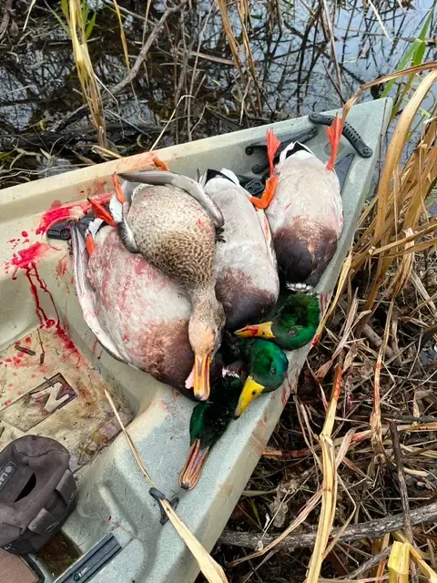 NuCanoe F10 after a public land duck hunt