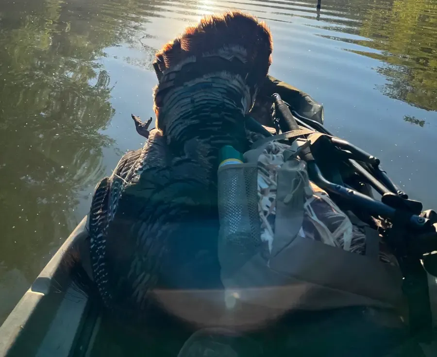 A turkey on a kayak next to a backpack and gear on the water